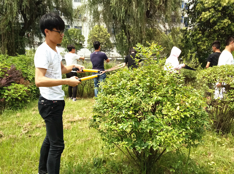 梓桐園藝社開展校園灌木修剪造型活動