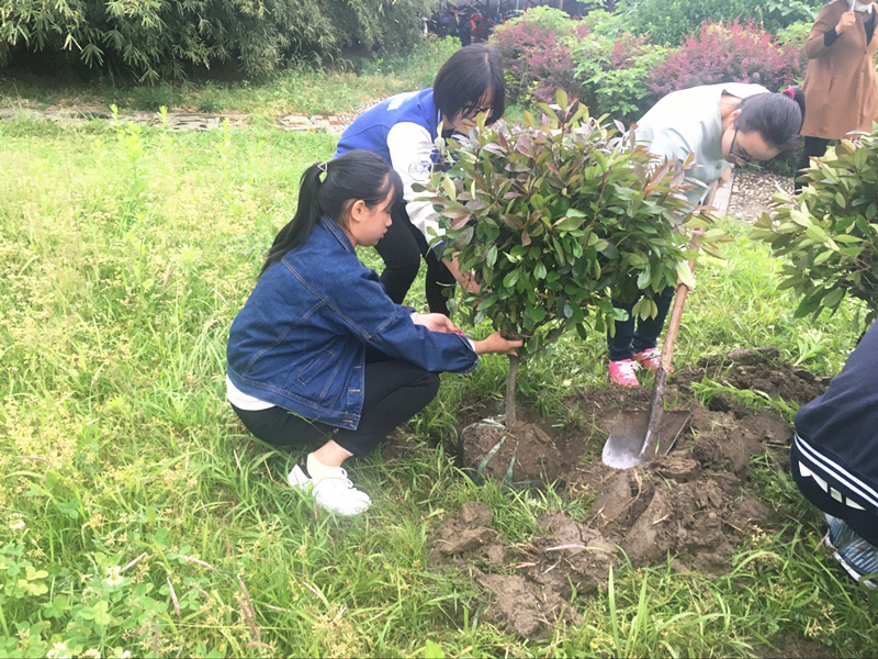 梓桐園藝社開展“我為學(xué)校添新綠”植樹活動(dòng)